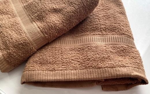 【大阪泉州タオル】Twinkle 銀の抗菌バスタオル２枚（ジュピターブラウン）