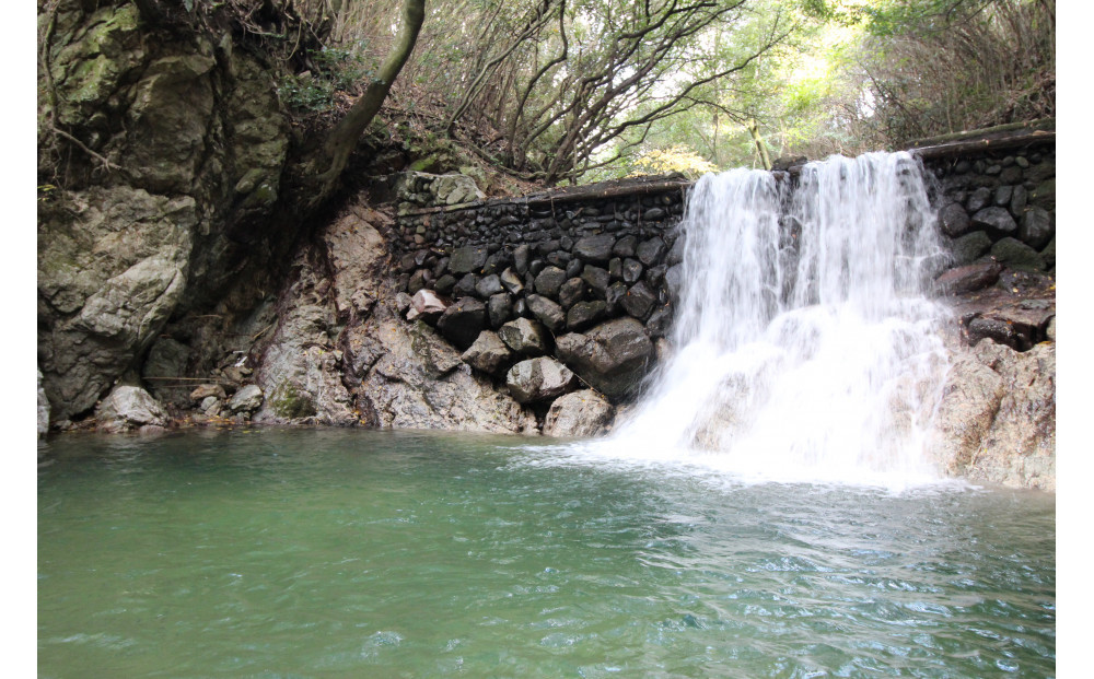 ≪貝塚市/アスレチック≫ 一日体験チケット(大人)＼＼関西随一の広大な敷地／／大自然の澄んだ空気の中で身体をリフレッシュ！！