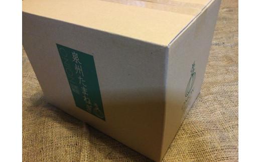 ＜2026年5月下旬発送＞泉州玉ねぎ５kg　保存用ネット付