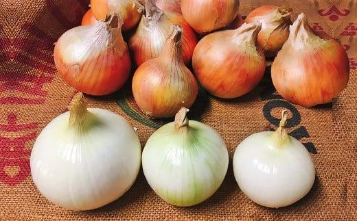 ＜2026年5月下旬発送＞泉州玉ねぎミックスサイズ５kg　保存用ネット付