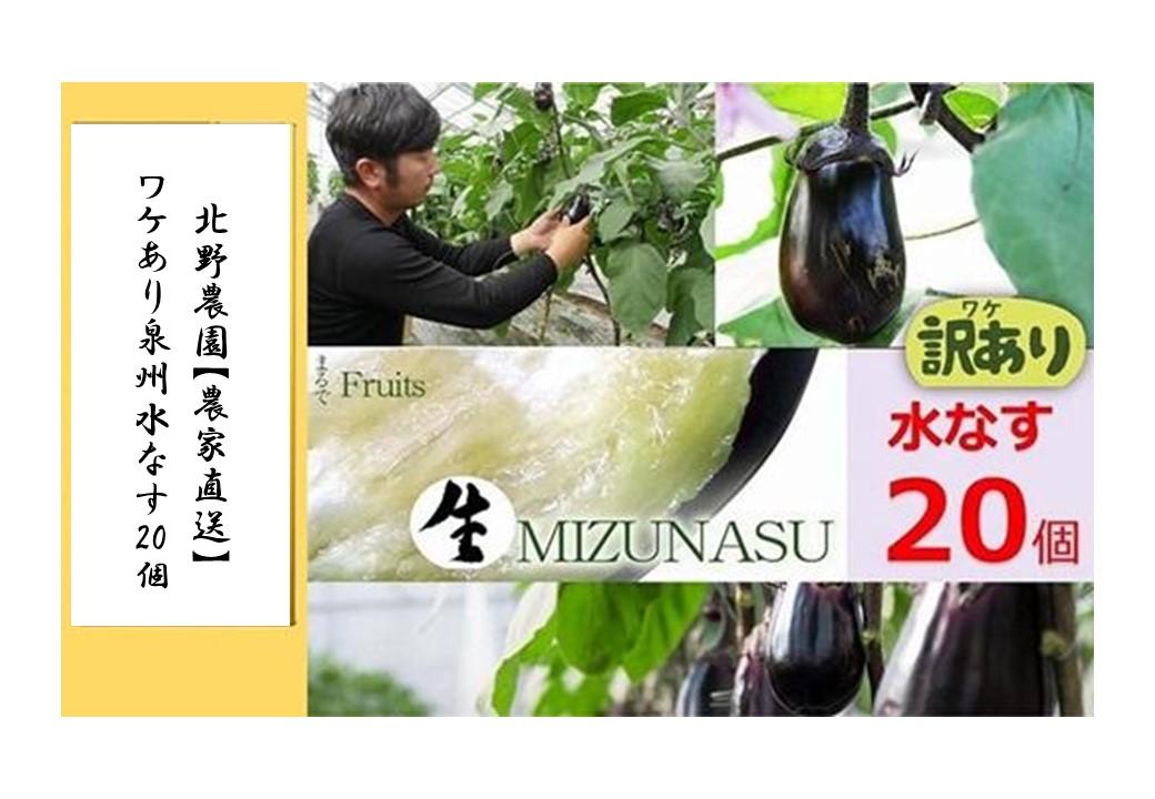 ＜先行予約＞北野農園【農家直送】ワケあり泉州水なす20個