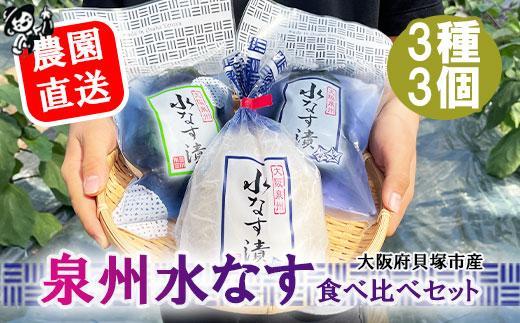 ＜先行予約＞北野農園　泉州水なす漬３種３個セット