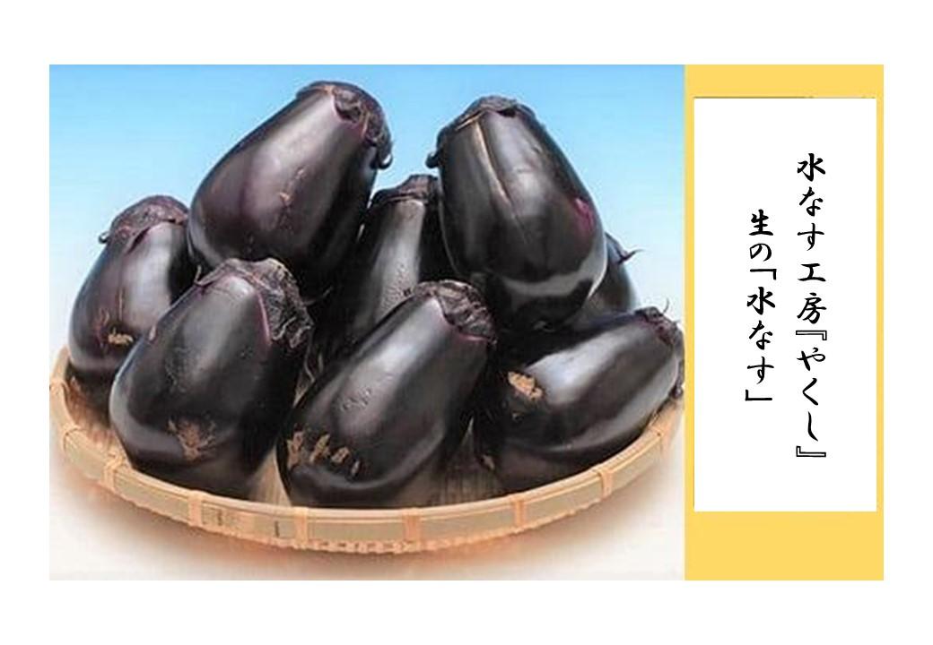 ＜2026年3月上旬頃から順次発送＞ 水なす工房『やくし』生の「水なす」