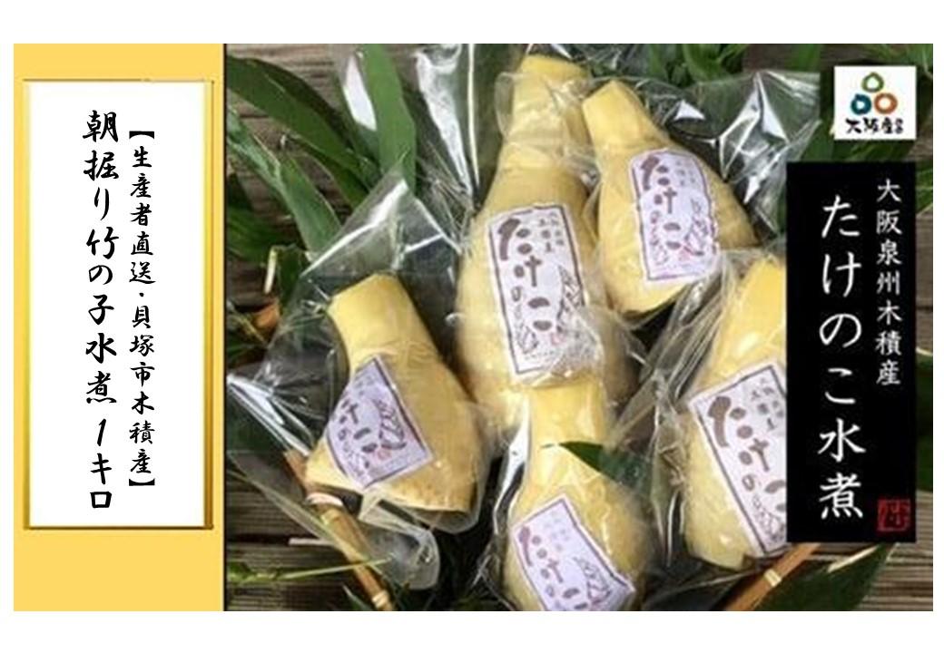 ＜2026年3月下旬発送予定＞【生産者直送・貝塚市木積産】朝掘り竹の子水煮 １kg