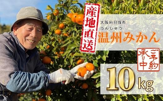 【2026年1月以降に順次発送】季節の味覚！貝塚市産 温州みかん10kg
