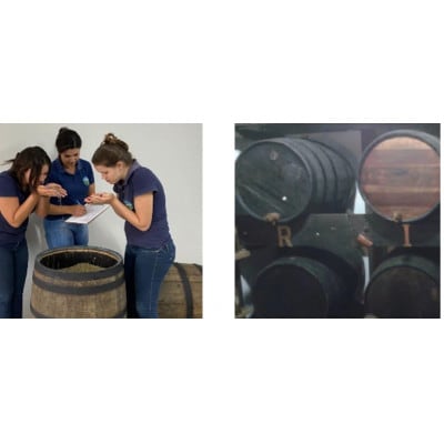 ブルーマウンテンNo1ハーフブレンドとウィスキー樽熟成バレルエイジド 計400g