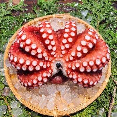 塩もみタコ【配送不可地域：離島】