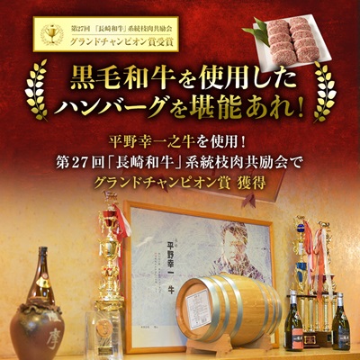 特選和牛〈焼肉薩摩 完熟平野幸一之牛〉ハンバーグ10個【配送不可地域：離島】