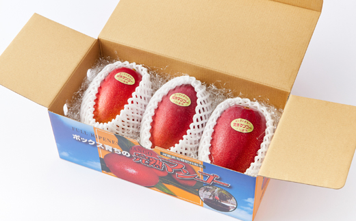大阪茨木 小川農園の《贈答用》完熟マンゴー約1kg〈2～3個入〉【R8年7月中旬発送開始】【配送不可地域：離島】