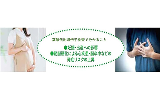 葉酸代謝遺伝子検査キット