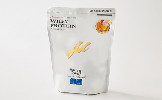 プロテイン100　ワイルドフィット　マンゴー風味