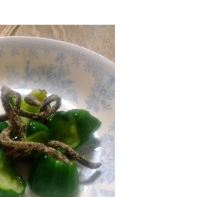 塩昆布(乾燥)いそ松葉 200g 紙袋なし