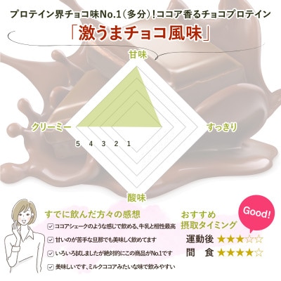 ビーレジェンド WPCプロテイン 激うまチョコ風味 1kg×10袋セット