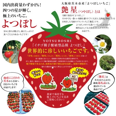 艶星(イチゴ)約700g～約800g「甘味、酸味、風味、旨味」四つ星級に美味!採れたてをお届けします【配送不可地域：離島】