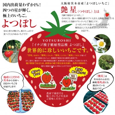 艶星(イチゴ)約350g～約400g「甘味、酸味、風味、旨味」四つ星級に美味!採れたてをお届けします【配送不可地域：離島】