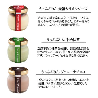 うっふぷりんバラエティパック　12個セット【配送不可地域：離島】