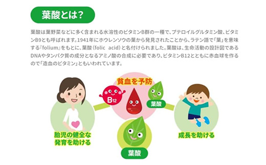 葉酸代謝遺伝子検査キット