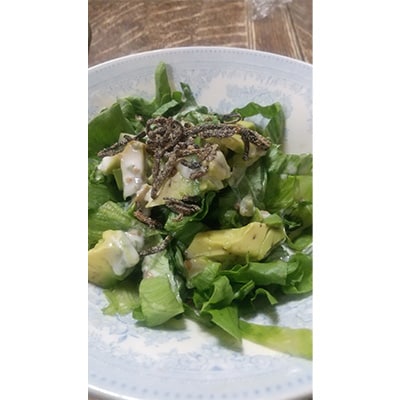 【2ヵ月毎定期便】塩昆布(乾燥)いそ松葉 200g×2セット全6回