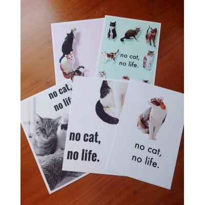 【保護猫ルームえびす】猫型コースターとキーホルダーの手作りセット(ポストカード1枚付き)