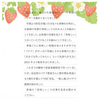 艶星(イチゴ)約350g～約400g「甘味、酸味、風味、旨味」四つ星級に美味!採れたてをお届けします【配送不可地域：離島】