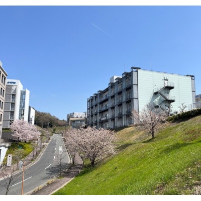 Direct Alanine(D-アミノ酸・L-アミノ酸含有食品) 60スティック 1箱