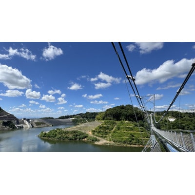 【GRAVITATE OSAKA】ブリッジスイング+入園・吊り橋＆飲食クーポン券(1名様分)