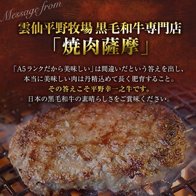 特選和牛〈焼肉薩摩 完熟平野幸一之牛〉ハンバーグ10個【配送不可地域：離島】