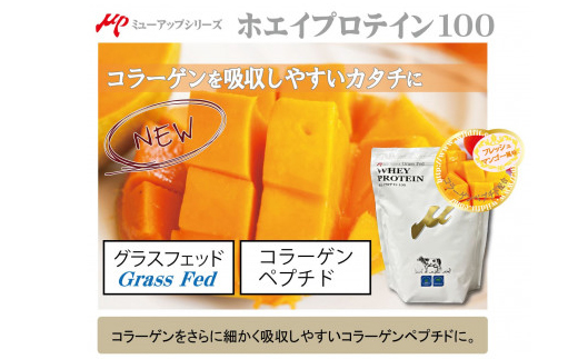 プロテイン100　ワイルドフィット　マンゴー風味