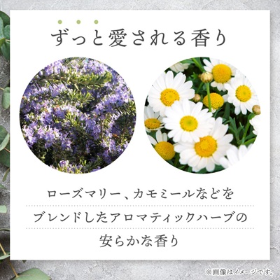 AYURA(アユーラ) メディテーションバスt 3本