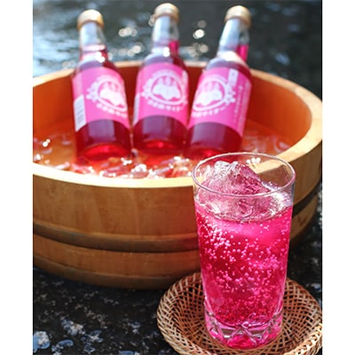 赤しそサイダー　　250ml　×12本【配送不可地域：離島】