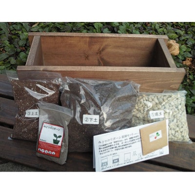 みどりのリボーン　菜園セット/ラディッシュ