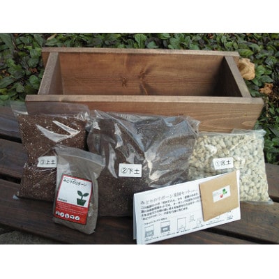 みどりのリボーン　菜園セット/レタス