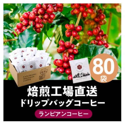 ランビアンスペシャルティドリップコーヒー10g×80個入