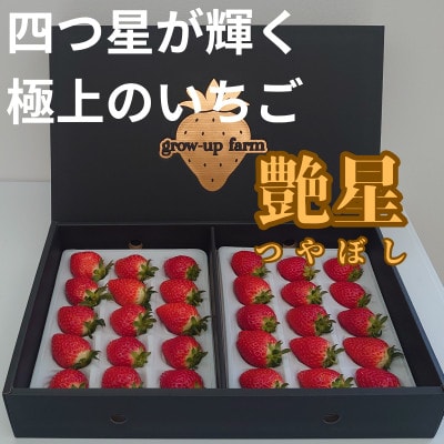 艶星(イチゴ)約700g～約800g「甘味、酸味、風味、旨味」四つ星級に美味!採れたてをお届けします【配送不可地域：離島】