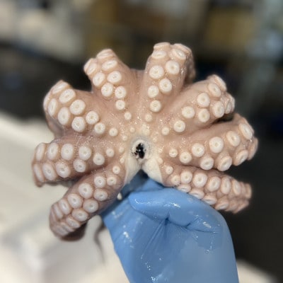 塩もみタコ【配送不可地域：離島】