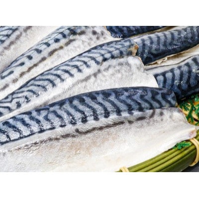 【骨取り】無添加トロさばフィーレ 無塩 5切(約550g)【配送不可地域：離島】