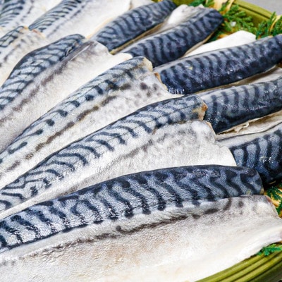 【骨取り】無添加トロさばフィーレ 無塩 15切(約1.6kg)【配送不可地域：離島】