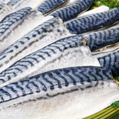 【骨取り】無添加トロさばフィーレ 無塩 20切(約2.2kg)【配送不可地域：離島】