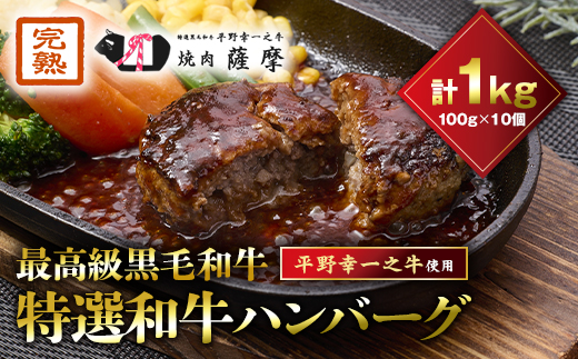 特選和牛〈焼肉薩摩 完熟平野幸一之牛〉ハンバーグ10個【配送不可地域：離島】