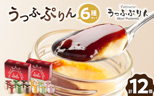 うっふぷりん6種セット　12個入【配送不可地域：離島】