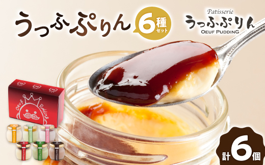 うっふぷりん6種セット　6個入【配送不可地域：離島】