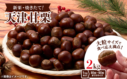 【2kg】新栗ビックサイズ!!焼きたて!!天津甘栗　大粒サイズ　期間限定でお届けします。