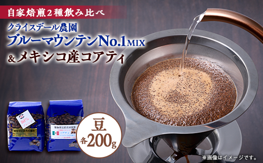 自家焙煎ブルーマウンテンNo1クライスデール農園ハーフブレンドとメキシコ産コアティー各200g