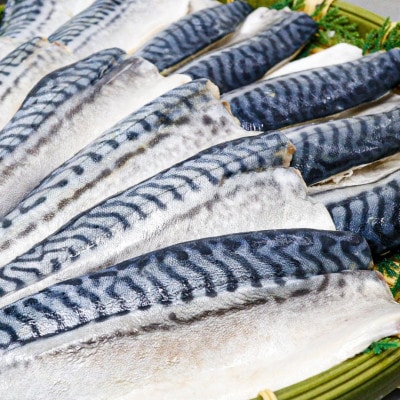 【骨取り】無添加トロさばフィーレ 無塩 5切(約550g)【配送不可地域：離島】