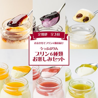 【発送月固定定期便】うっふぷりんのプリン6種類お楽しみセット全3回【配送不可地域：離島】