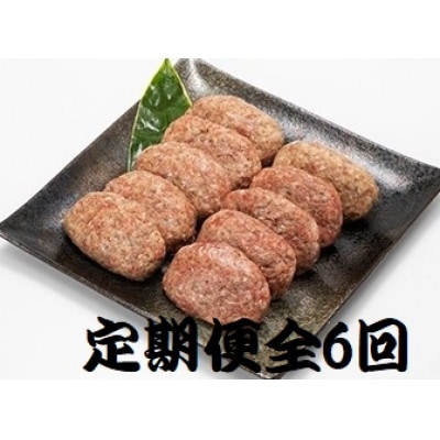 【2ヵ月毎定期便】特選和牛(焼肉薩摩の完熟平野幸一之牛)ハンバーグ10個全6回【配送不可地域：離島】