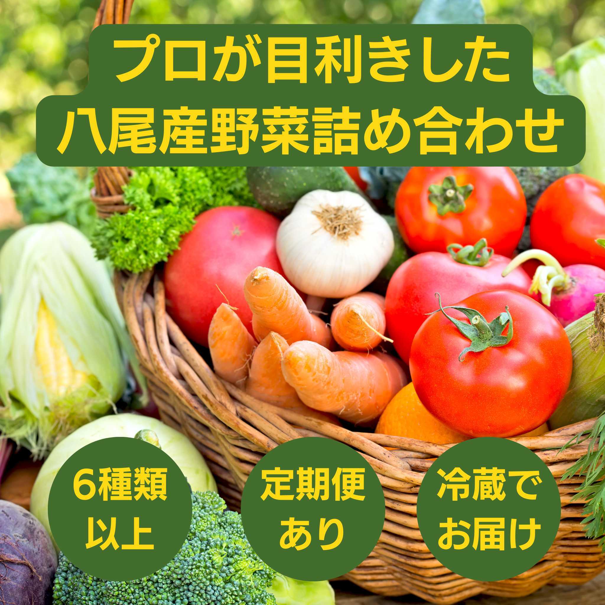E158【定期便】季節の厳選野菜詰め合わせセット(お届け回数:4回)