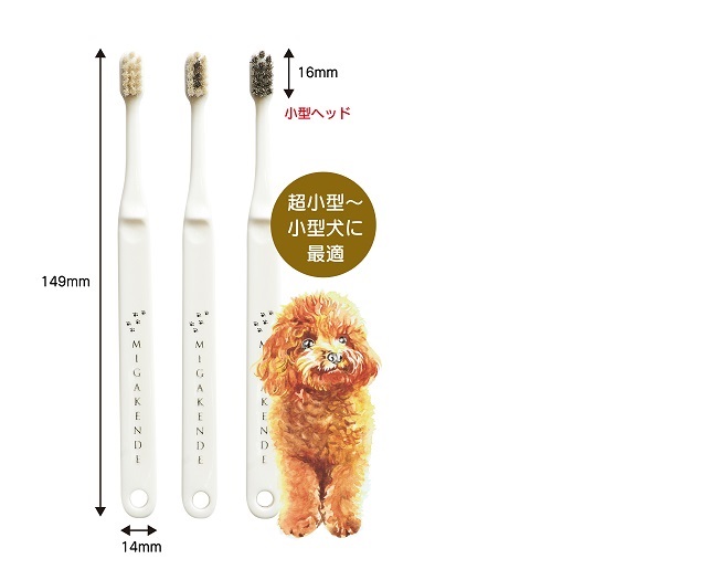 A159＜柔らかい天然毛歯ブラシ＞ミガケンデ 3本セット