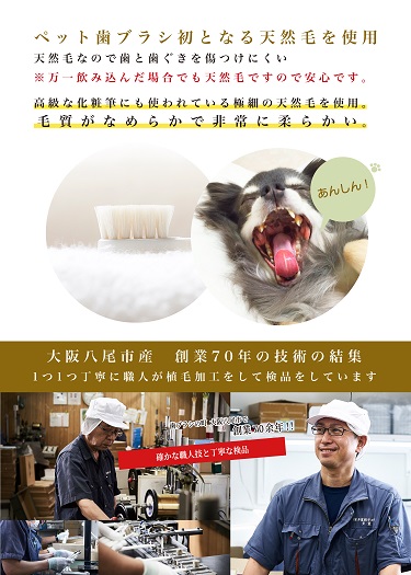 A159＜柔らかい天然毛歯ブラシ＞ミガケンデ 3本セット