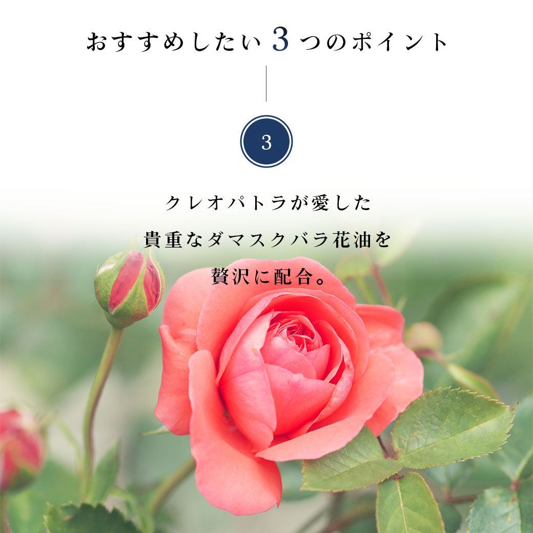 D209 マリリール ダマスクローズ バスアメニティ ３種セット